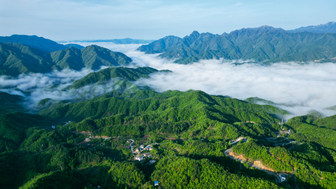 dji_fly_20230425_071838_563_1682518377720_photo.jpg