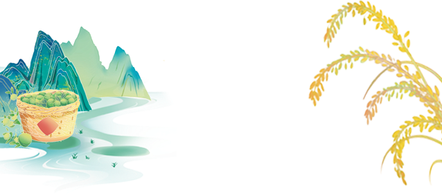 组 2.png