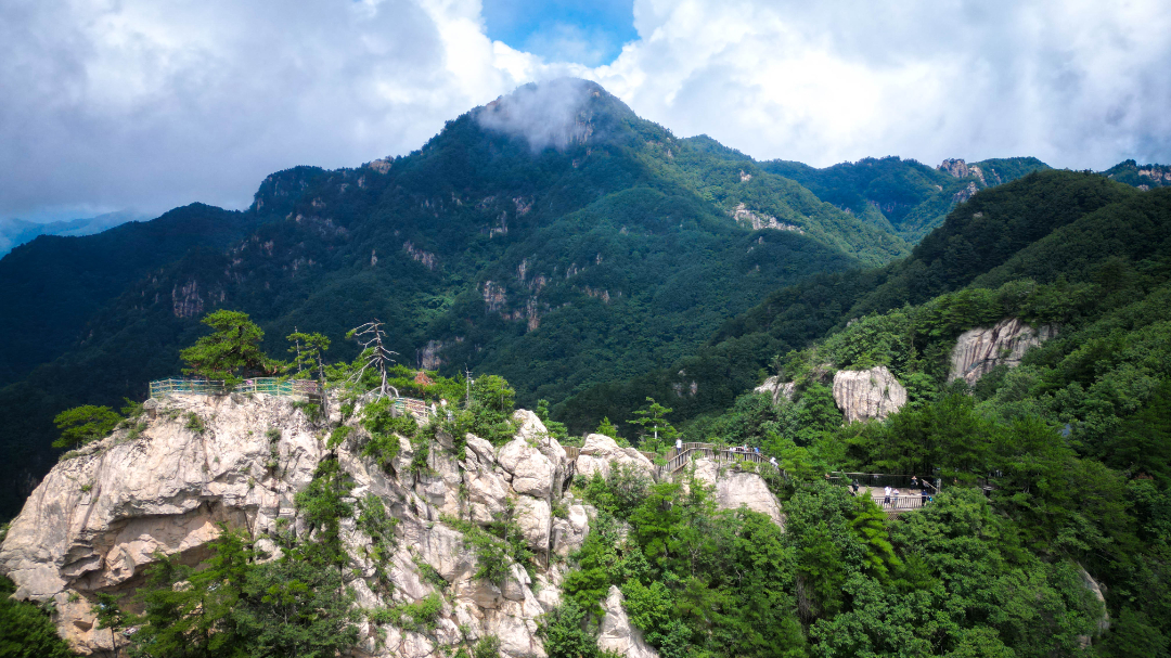 DJI_0154.jpg