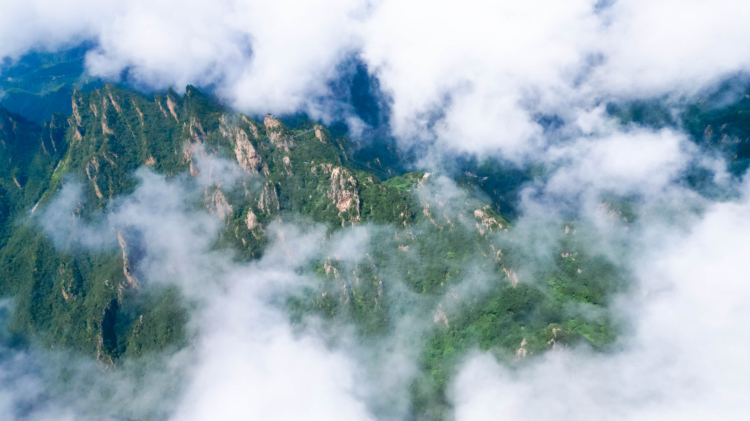 DJI_0125.jpg
