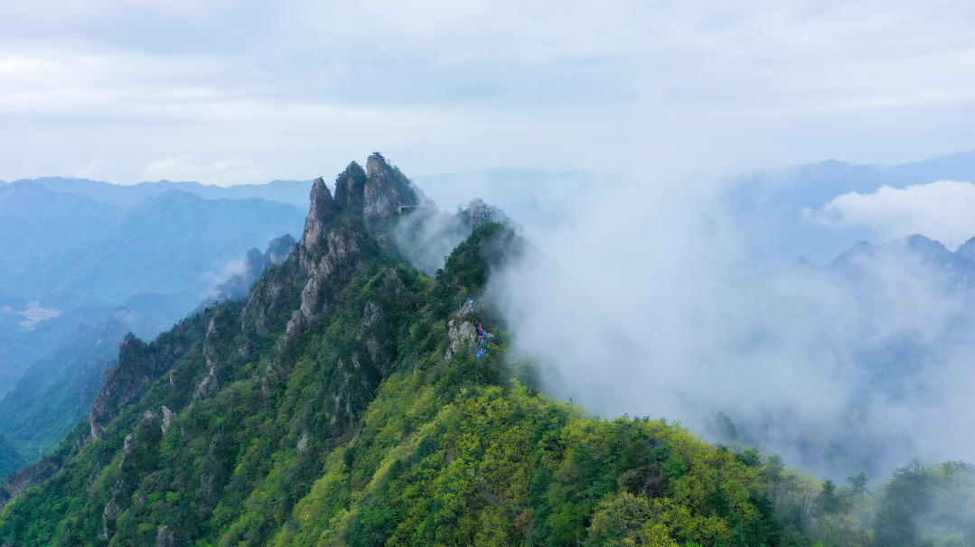 DJI_0619.jpg