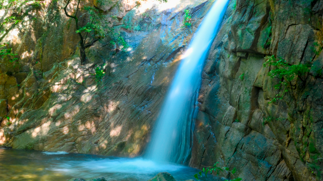 _DSC3920.JPG