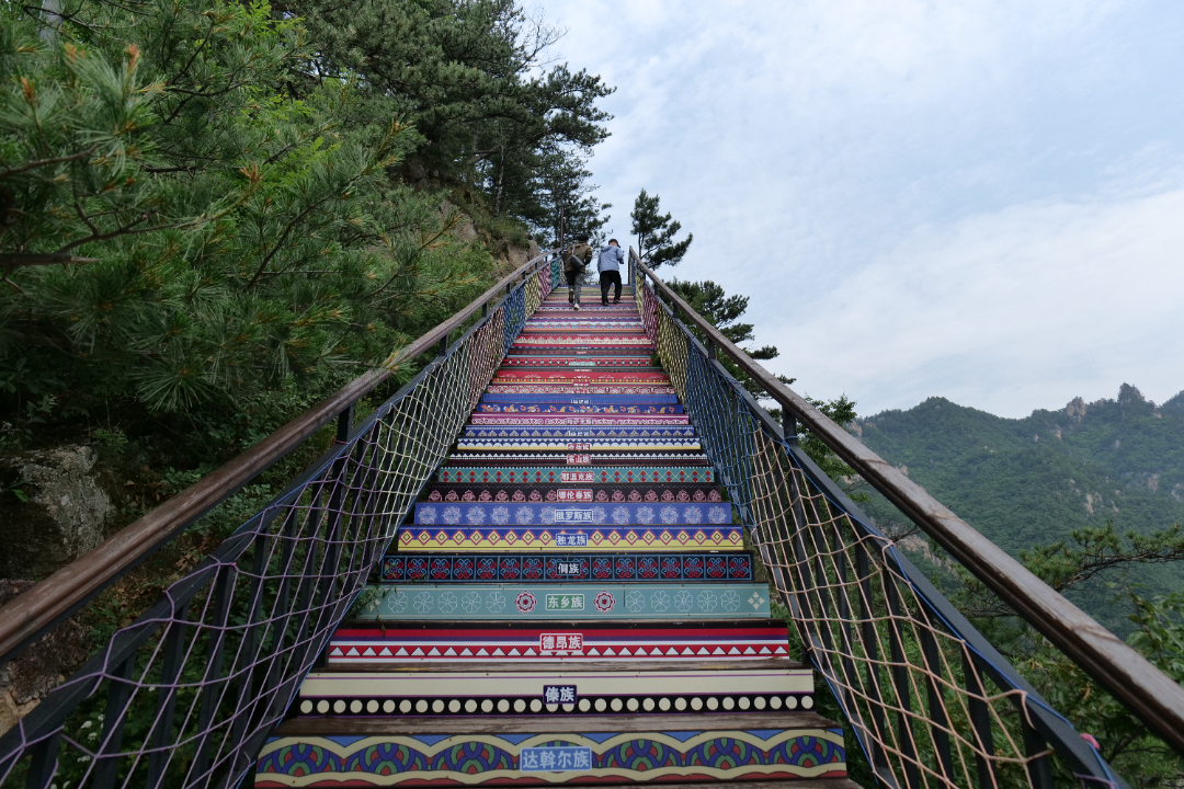 P1548515.JPG