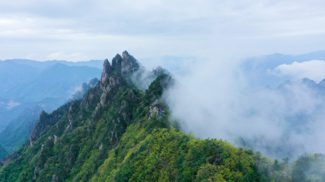 DJI_0619.jpg