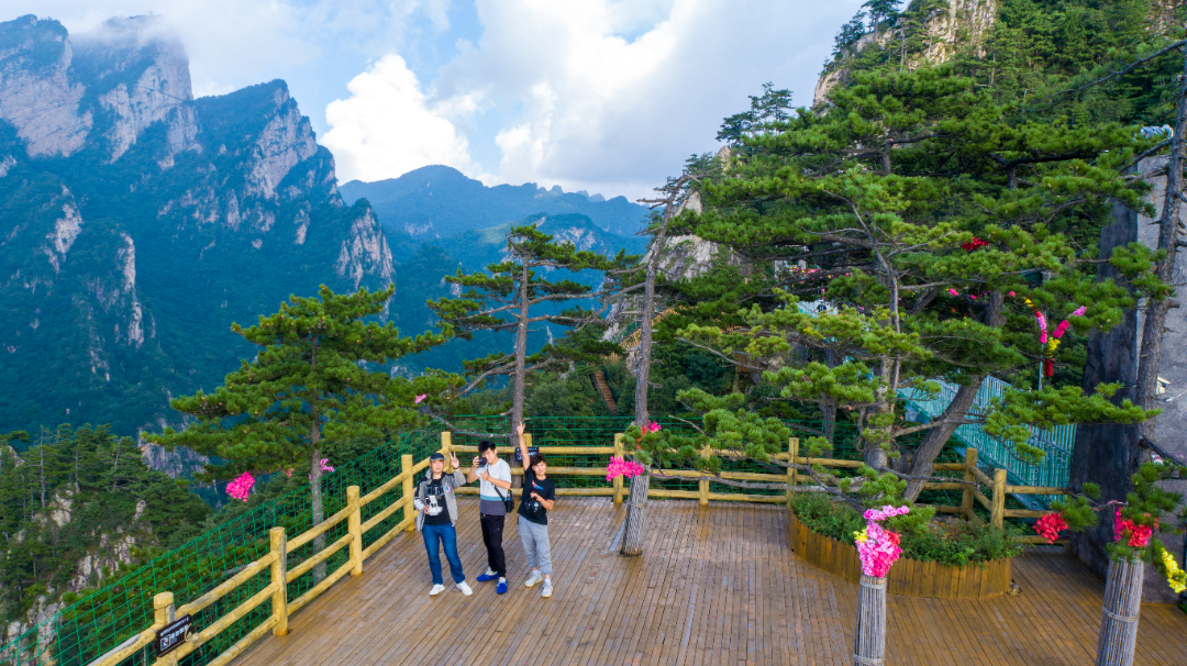 DJI_0196.jpg