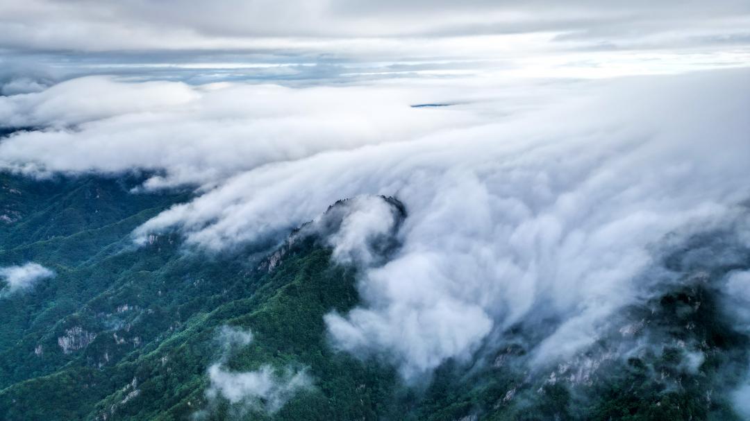 DJI_0967.jpg