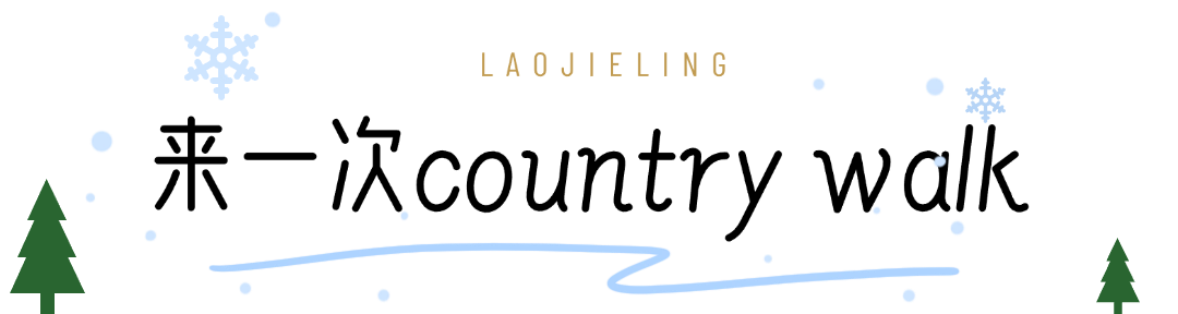 33.png