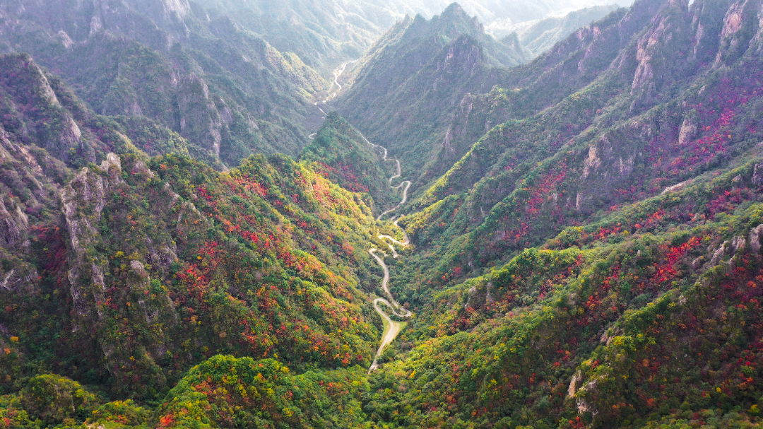 2彩林 (5 - 7).jpg