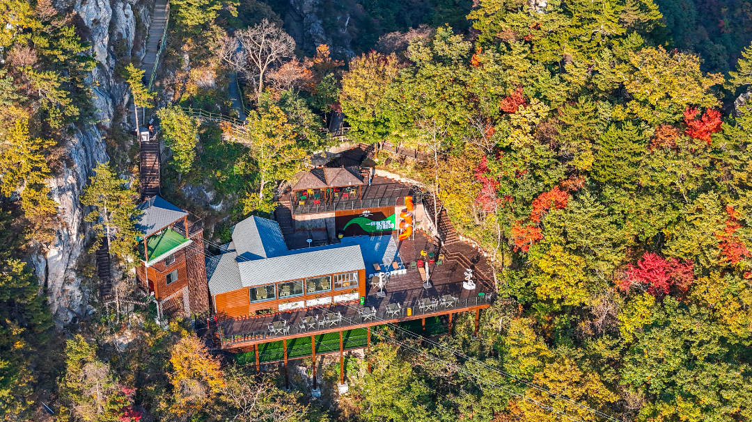 DJI_20241015165438_0100_D-2219.jpg