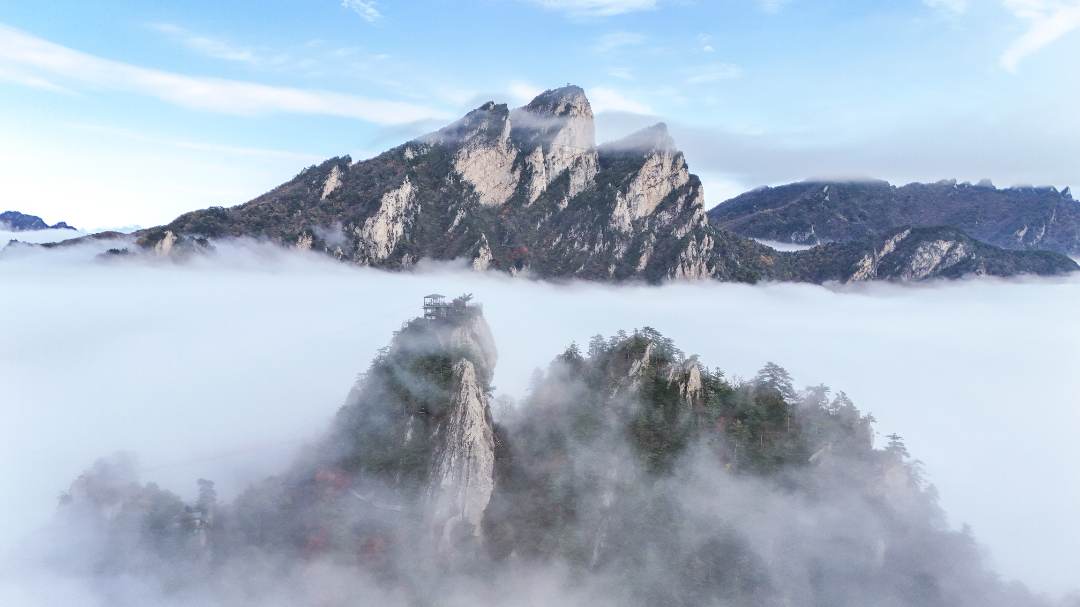 DJI_20241021141815_0342_D-2217.jpg
