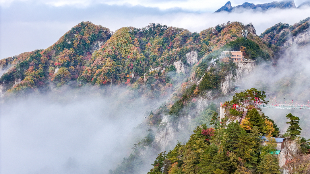 DJI_20241021150726_0400_D-2218.jpg