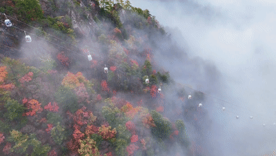 WeChat_20241026151442[00_00_41--00_00_45].gif