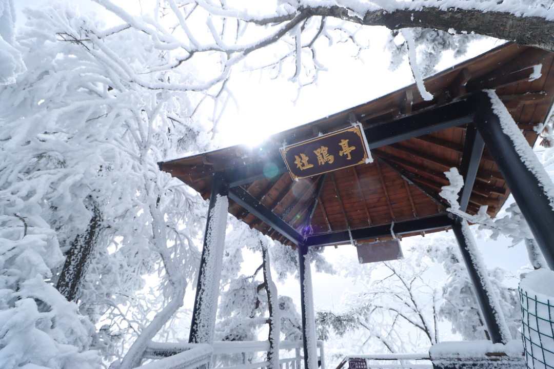 中原雪乡-10.jpg