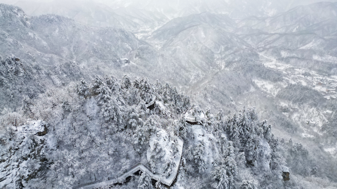 20240205-DJI_0029.jpg