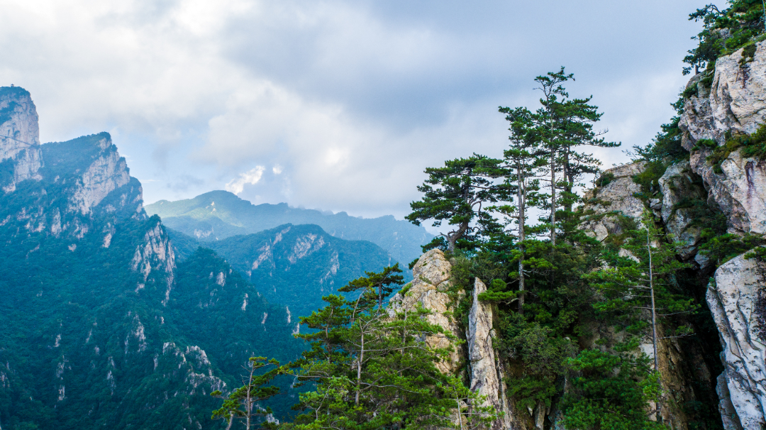 DJI_0219.jpg
