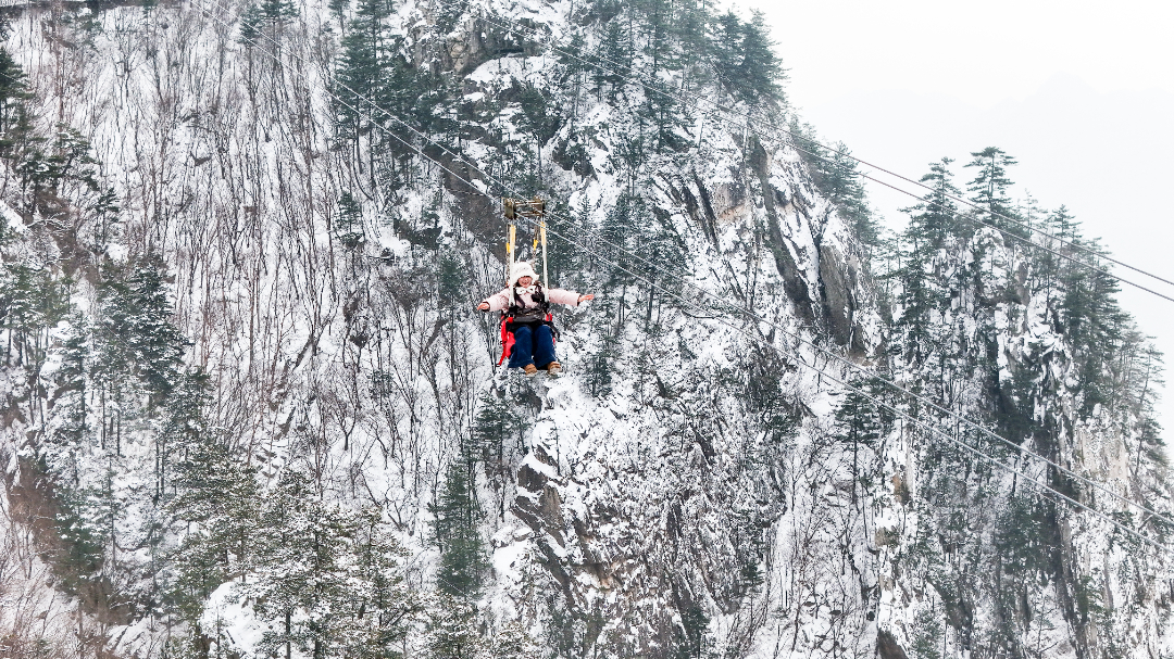 DJI_20250202154940_0011_D-2227.jpg