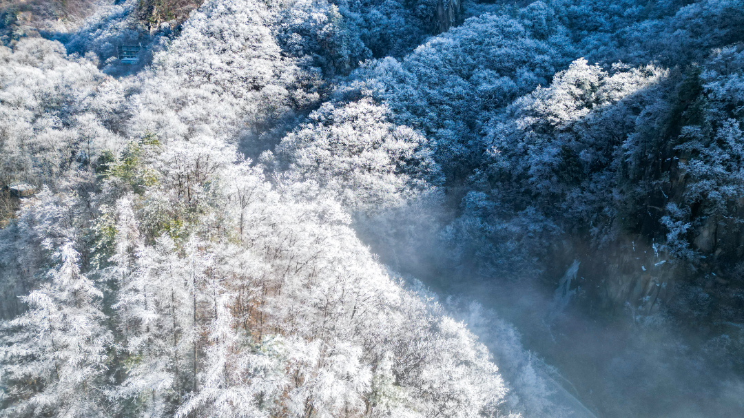 20240113-DJI_0259.jpg