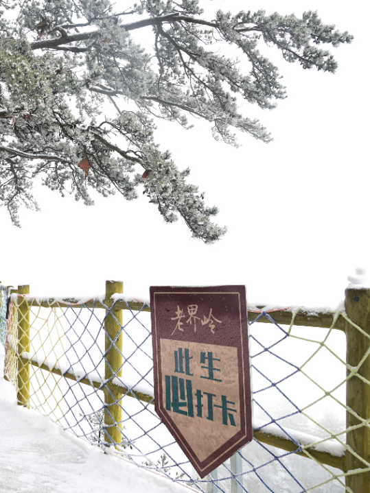 中原雪乡 (2 - 10).jpg