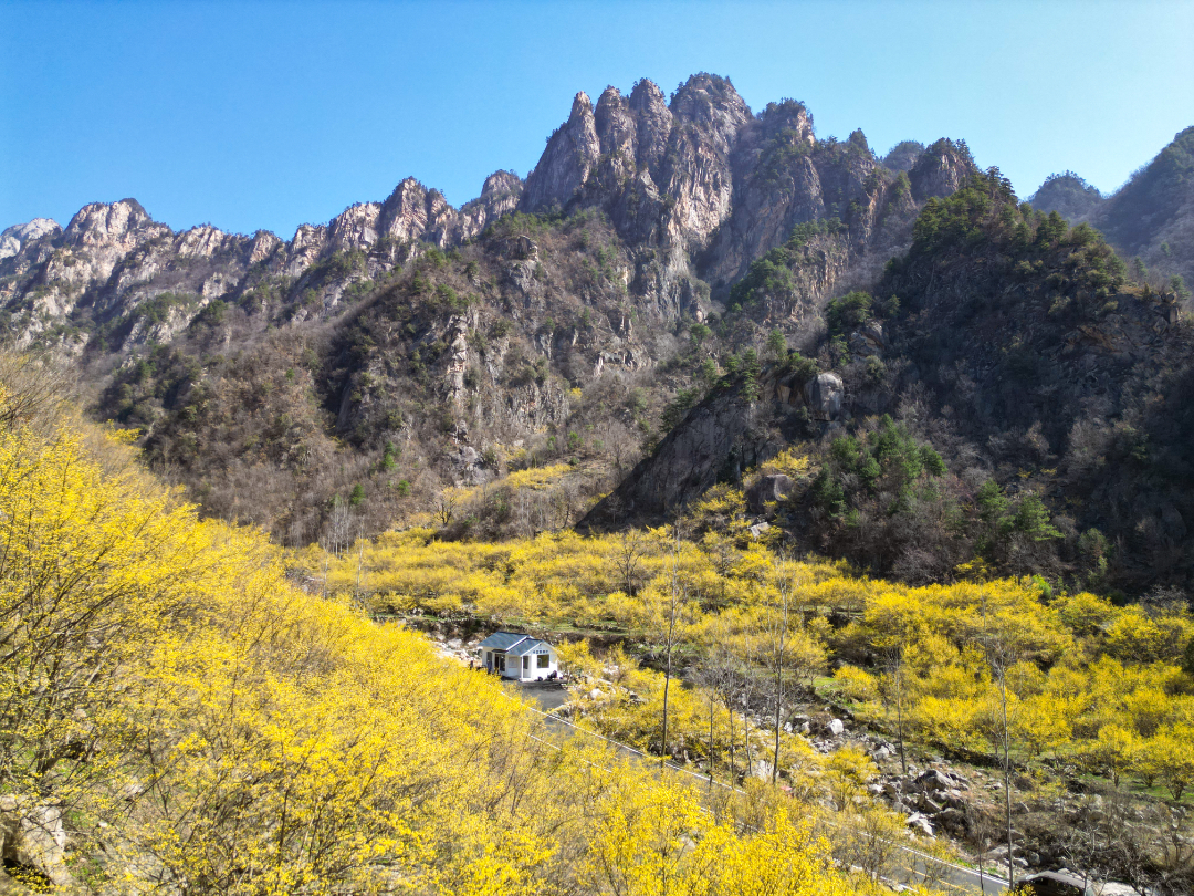 20240406-情人谷游览区2.jpg