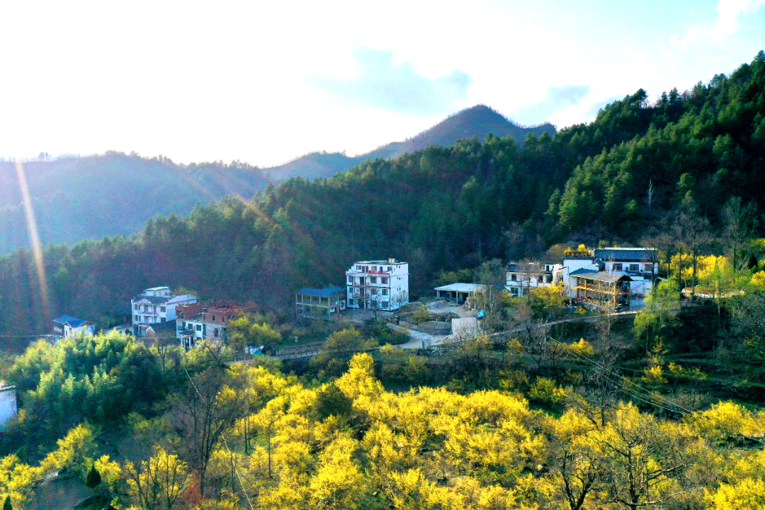 微信图片_20220323083444.jpg