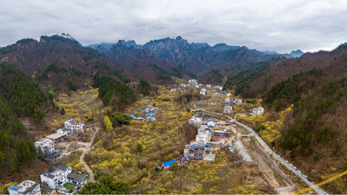 微信图片_20240325165730.jpg