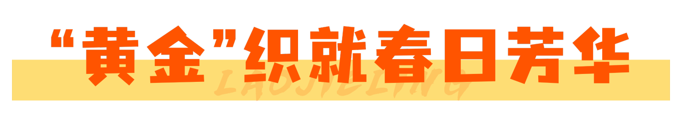3.11标题1.png