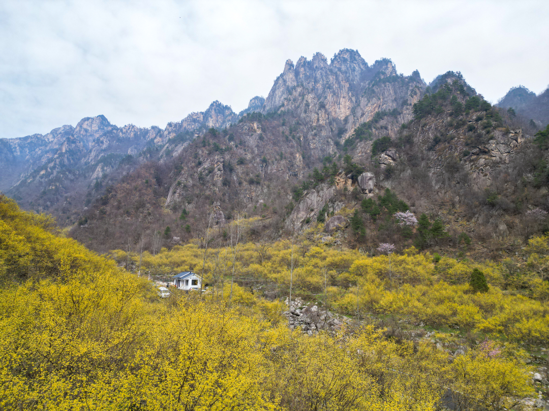 20240406-情人谷游览区4.jpg