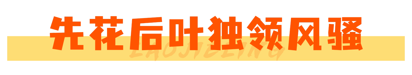 3.11标题3.png