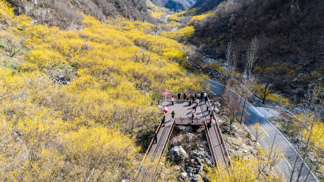 DJI_20250318154617_0255_D.jpg