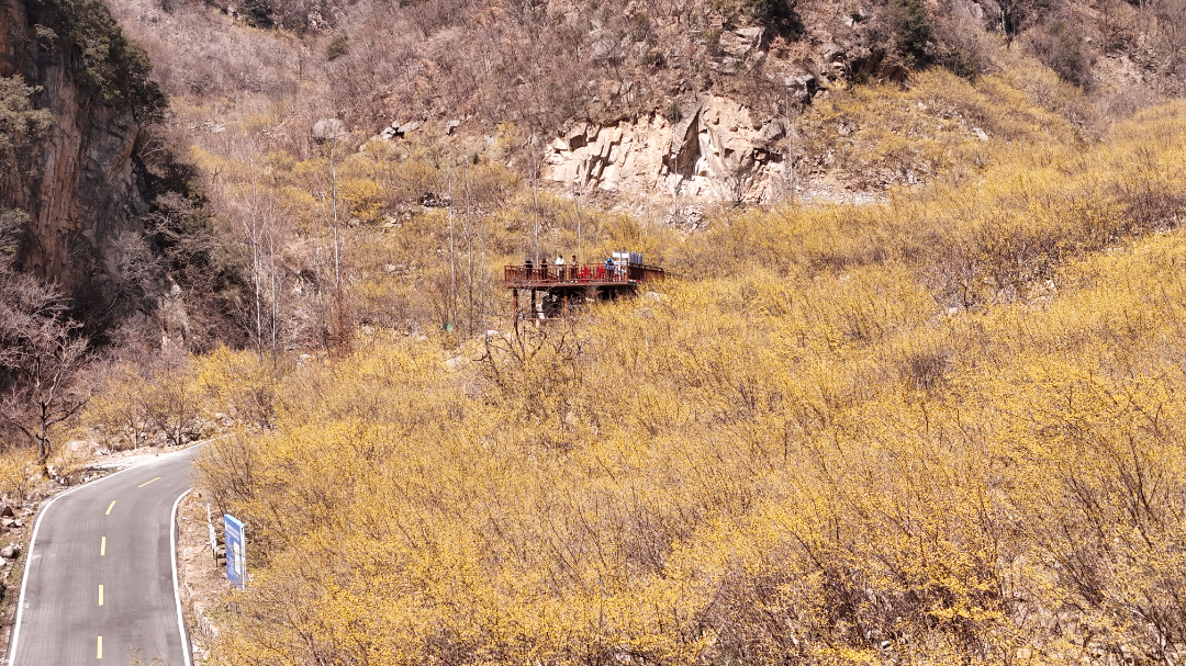 DJI_20250317133013_0023_D.JPG