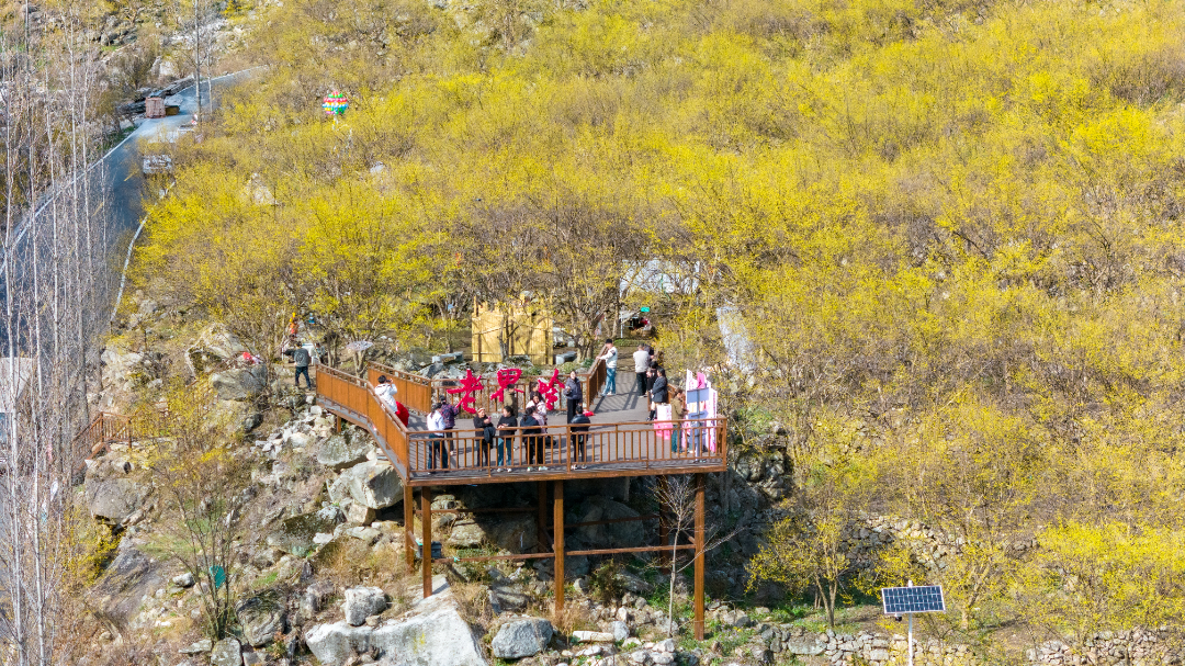 DJI_20250318154910_0263_D.jpg