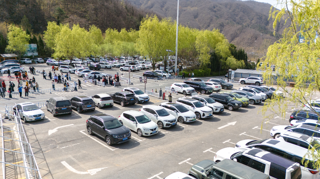 DJI_20250405101426_0212_D.jpg