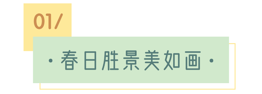 序号编号文字文章小标题1.png