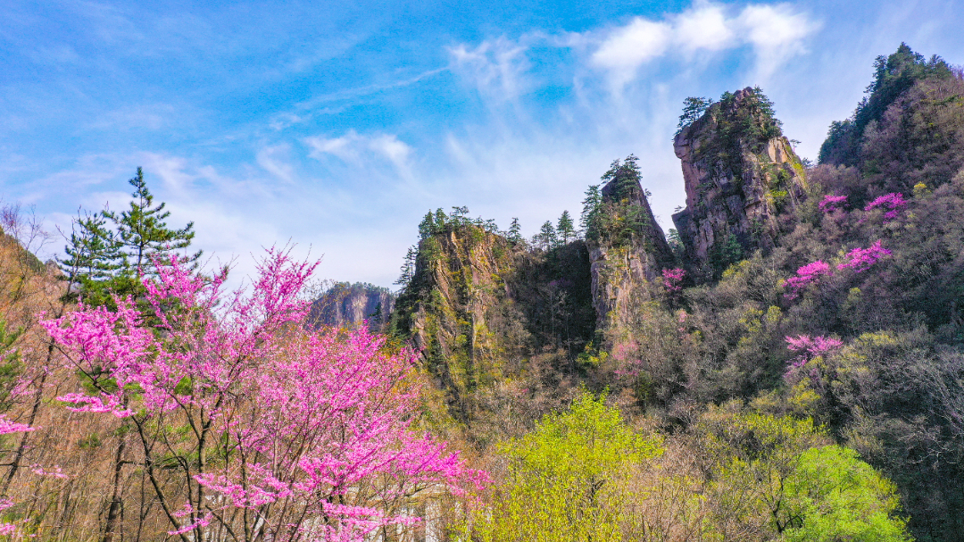 20240409-DJI_0418.jpg