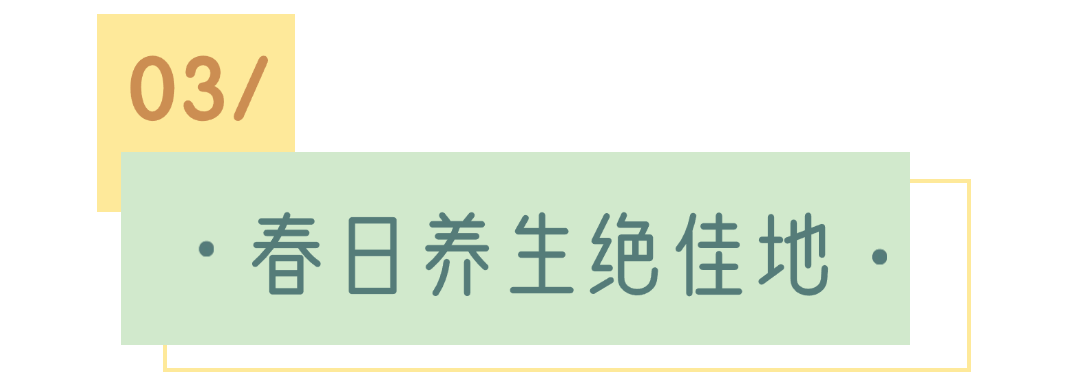 序号编号文字文章小标题3.png