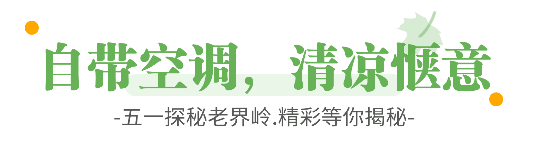 旅游出行攻略指南清新文章标题(2)3.png