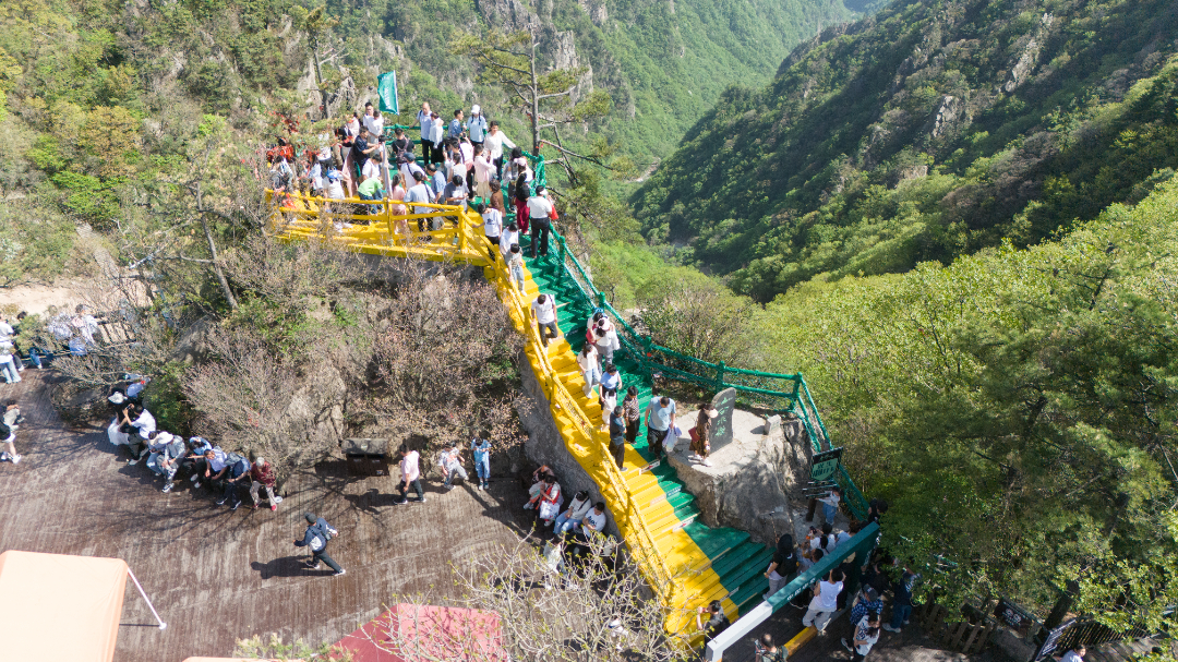 20250502-DJI_20250502151245_0240_D.jpg