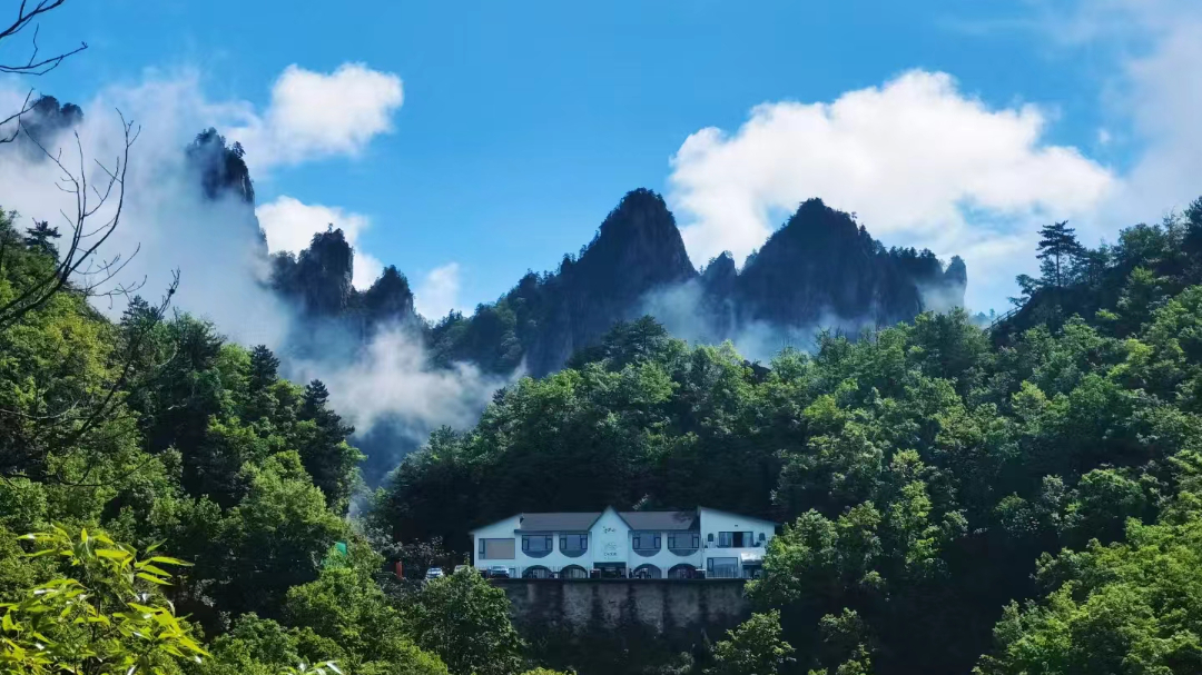 微信图片_20240830113815.jpg