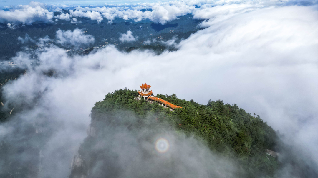 DJI_0104.jpg