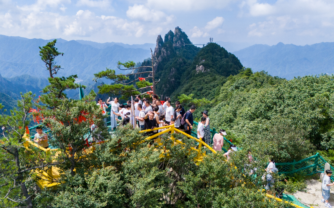 20250727-DJI_20250727105106_0021_D.jpg