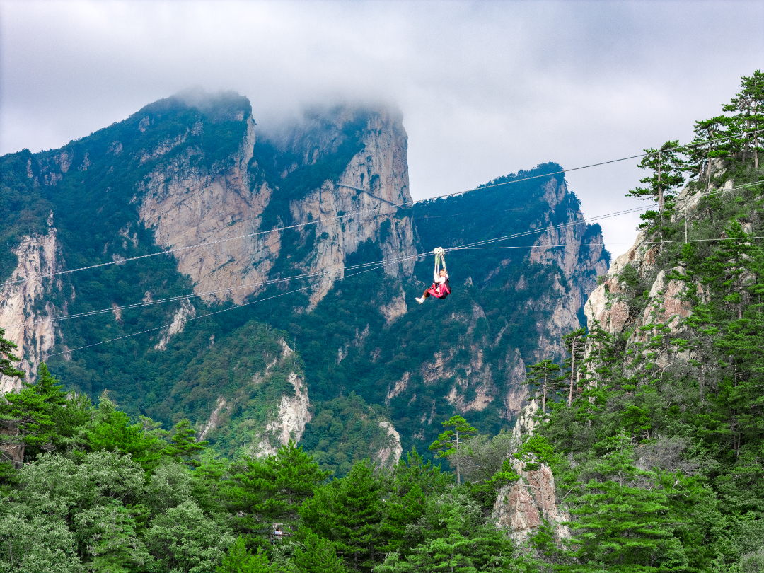 20250817-DJI_20250817155838_0068_D.jpg