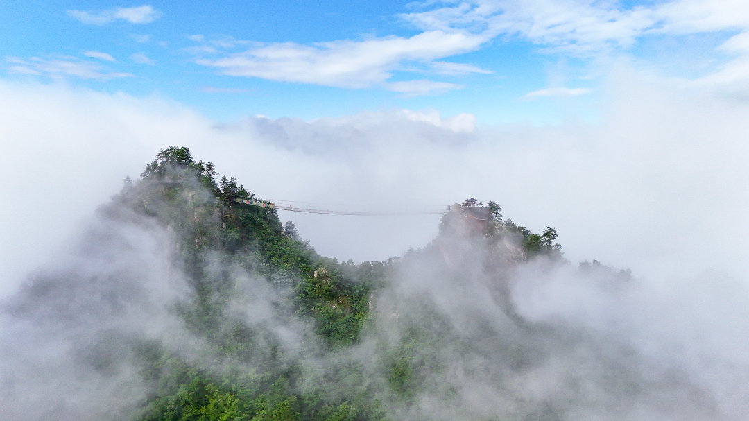 DJI_20240704083315_0001_D-2211.jpg