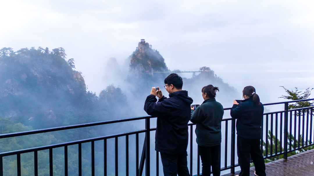 20250906-DJI_20250906132630_0046_D.jpg