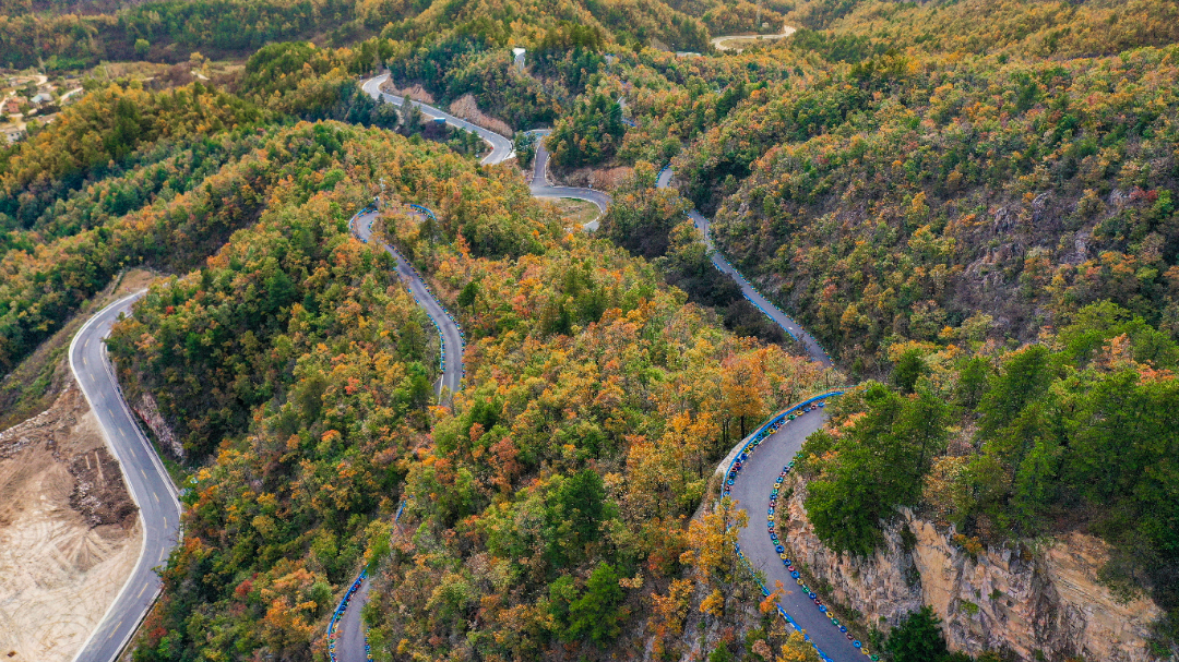 26彩林 (5 - 7).jpg