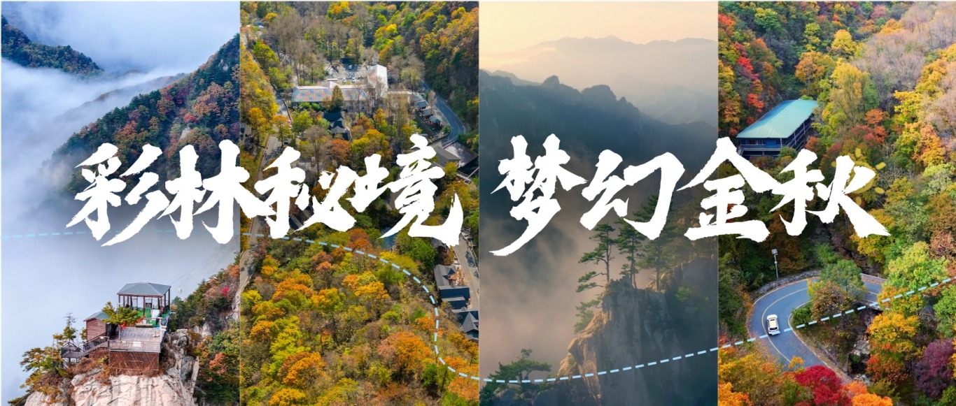 彩林秘境梦幻金秋封面一.jpg
