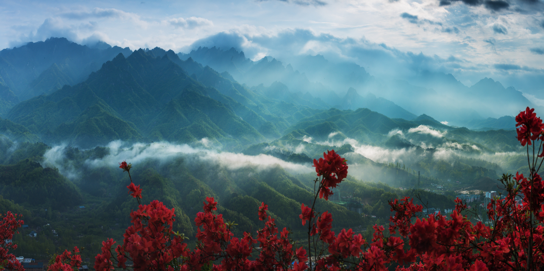 77《山花烂漫》2019年拍摄于西峡县太平镇 拷贝.jpg