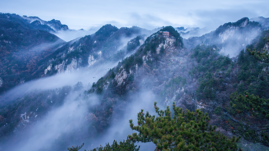 57《水墨丹青》2017年拍摄于西峡老界岭 拷贝.jpg