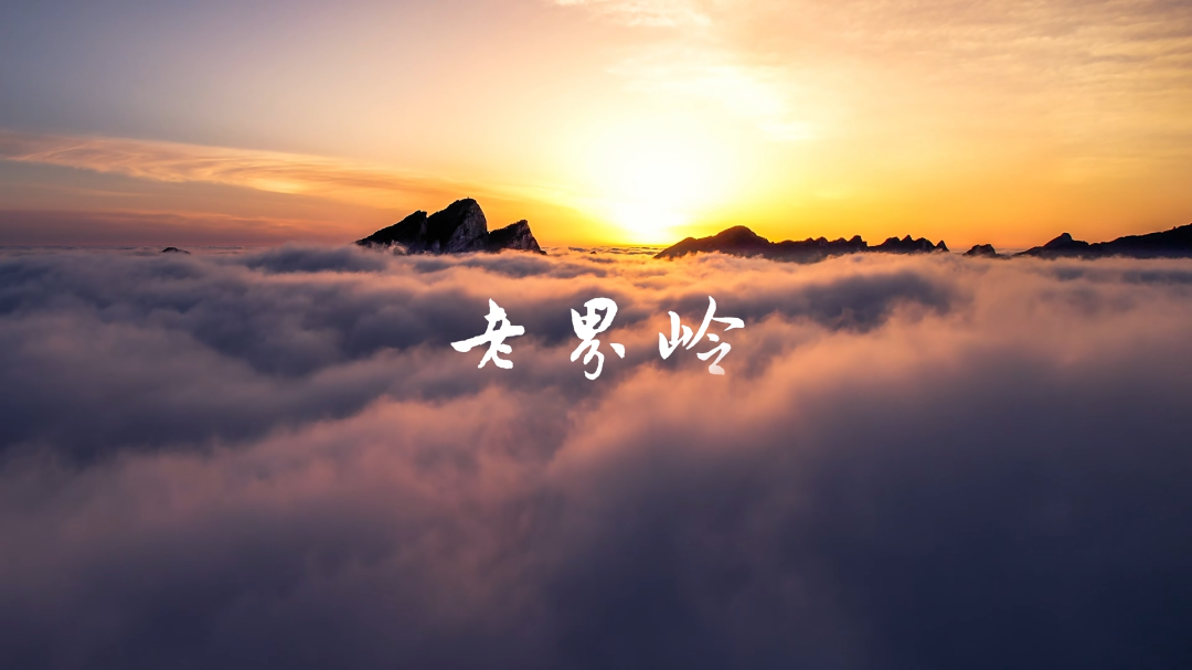 微信图片_20260331170514_875_405.png