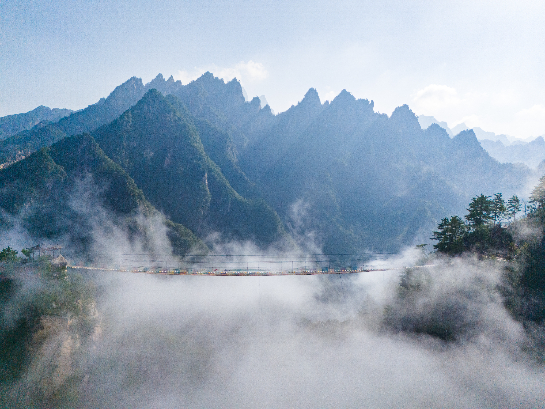 20250813-DJI_20250813084423_0072_D.jpg