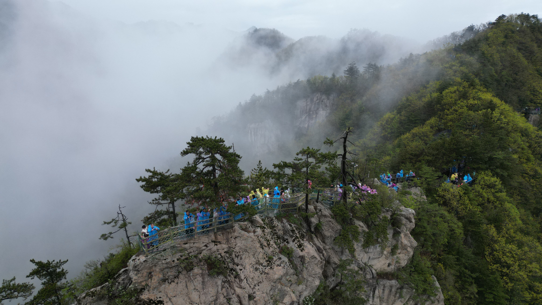 DJI_0671.JPG